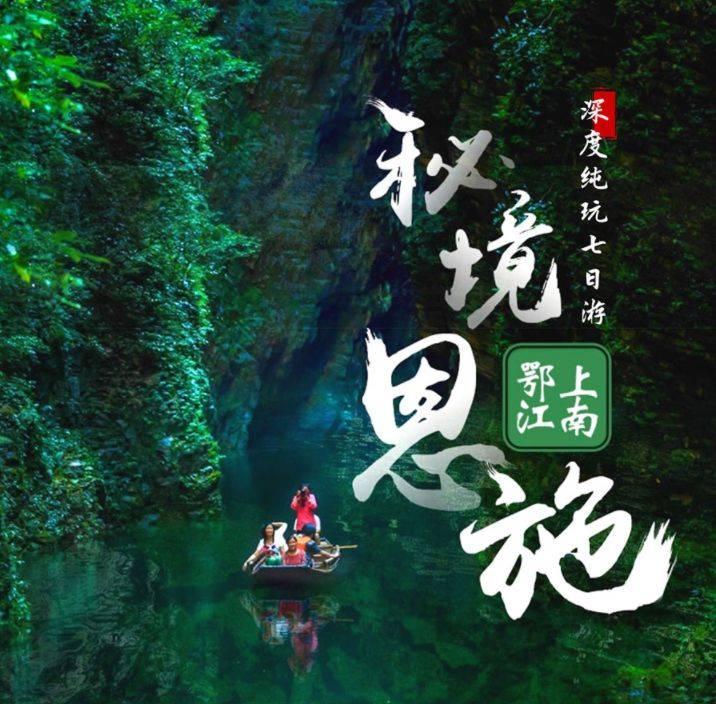 猫咪得了猫瘟怎么办游戏画面